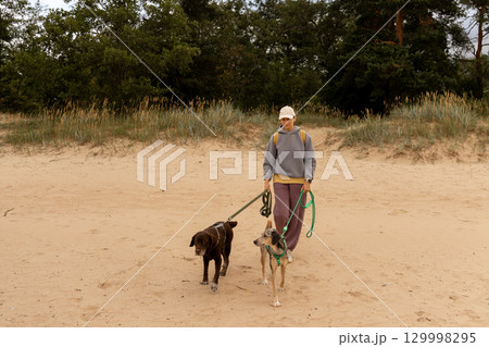 professional dog walker. person walks two pets on beach. dogs on leashes, woman is wearing hat.  129998295