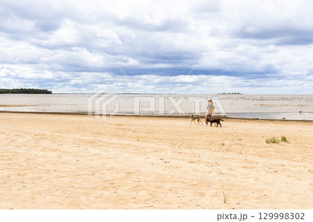 professional dog walker. person walks two pets on beach. dogs on leashes, woman is wearing hat. professional dog walker. person walks two pets on beach. dogs on leashes, woman is wearing hat. 129998302