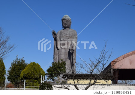 牛久大仏 世界最大のブロンズ立像 牛久大仏 世界最大のブロンズ立像 129998451