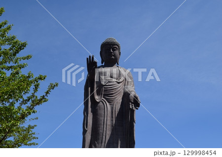 牛久大仏 世界最大のブロンズ立像 牛久大仏 世界最大のブロンズ立像 129998454