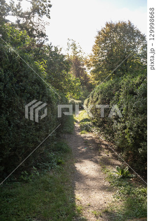 A sign on a dirt path in a forest A sign on a dirt path in a forest 129998668