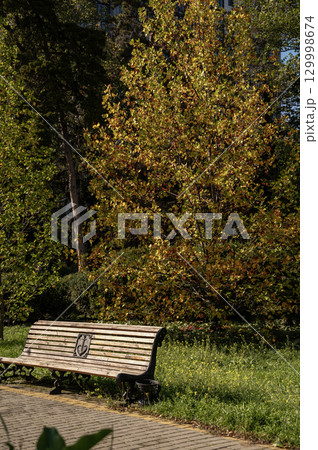 A wooden bench sitting in the middle of a park A wooden bench sitting in the middle of a park 129998674