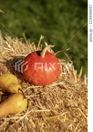 A group of fruit and vegetables on display 129998687