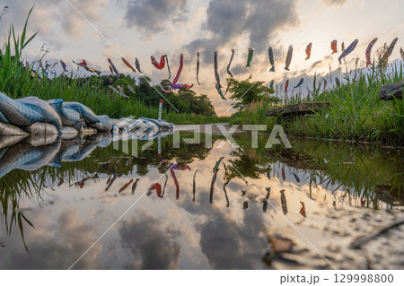 千葉県香取市 橘ふれあい公園 水面に映る鯉のぼり 129998800