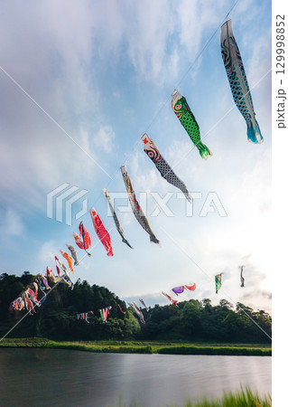 千葉県香取市 橘ふれあい公園 鯉のぼり 千葉県香取市 橘ふれあい公園 鯉のぼり 129998852