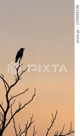 A stark silhouette of a crow perches on a bare, twisted tree branch against a gradient sky with warm peach and muted grey tones. 129999196