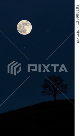 A radiant full moon illuminates a dark night sky with faint stars, casting a stark silhouette of a single leafless tree on a distant hill. 129999198