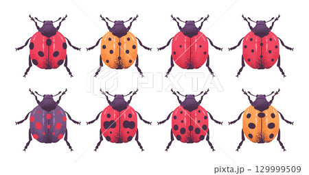 Cartoon ladybugs. Various ladybird insects, cute spotted beetles flat vector illustration set. Cartoon ladybird insects on white Cartoon ladybugs. Various ladybird insects, cute spotted beetles flat vector illustration set. Cartoon ladybird insects on white 129999509