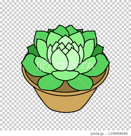 Green leaf succulent Green leaf succulent 129999640