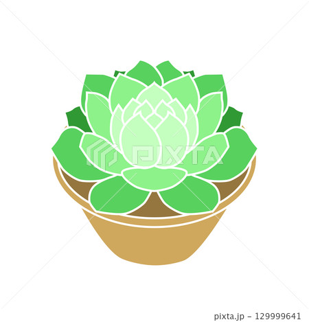 緑の葉の多肉植物（白線） 129999641
