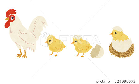 にわとり・ひよこ3種　水彩風手描きイラスト 129999673