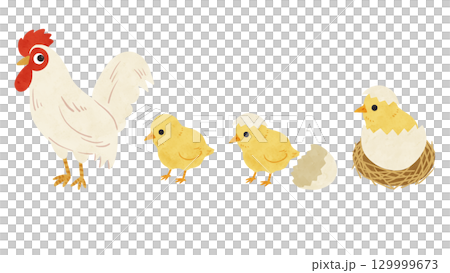 にわとり・ひよこ3種　水彩風手描きイラスト 129999673
