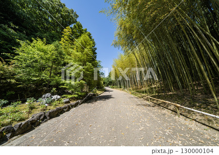 東山植物園の景色 130000104