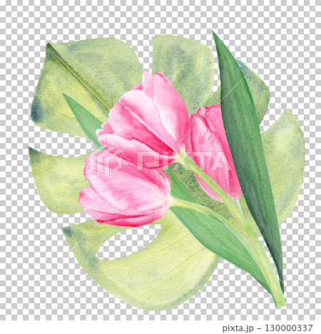 Tulips bouquet, monstera leaf watercolor composition isolated on white. Hand painted pink flowers. High quality clip art perfect for mother's day, women's day cards, posters, perfume, packaging, decor 130000337
