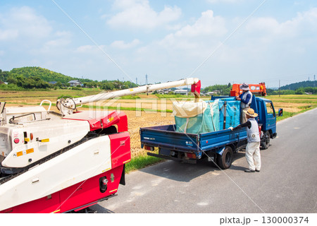 稲刈り風景　籾の排出 130000374