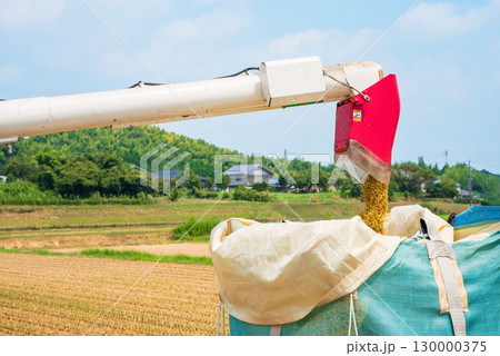稲刈り風景　籾の排出 130000375