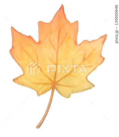 赤いもみじの水彩イラスト 秋の葉っぱ素材 赤いもみじの水彩イラスト 秋の葉っぱ素材 130000646