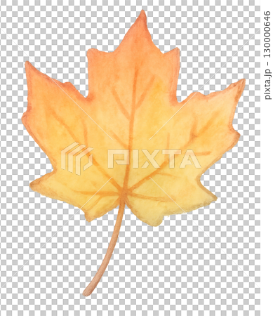 赤いもみじの水彩イラスト 秋の葉っぱ素材 赤いもみじの水彩イラスト 秋の葉っぱ素材 130000646