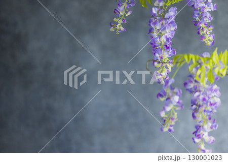 藤の花 藤の花 130001023