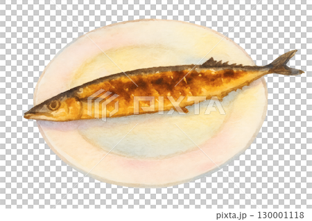Grilled saury watercolor illustration PNG transparent background 130001118