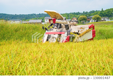 稲刈り風景 130001487