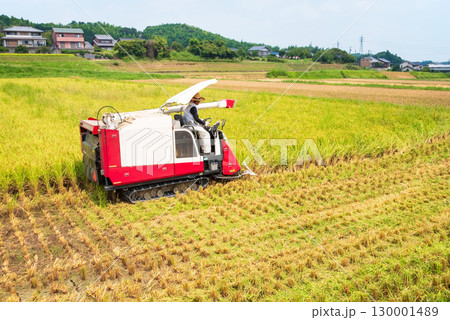 稲刈り風景 稲刈り風景 130001489