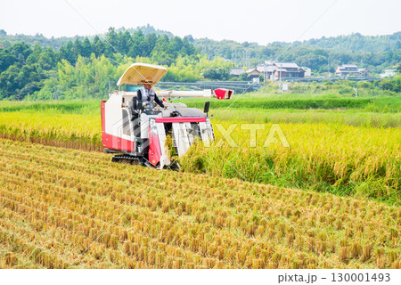 稲刈り風景 稲刈り風景 130001493
