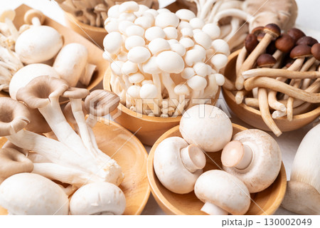 Fresh Champignon, Yanagi, Shimeji, oyster and King oyster mushroom Fresh Champignon, Yanagi, Shimeji, oyster and King oyster mushroom 130002049