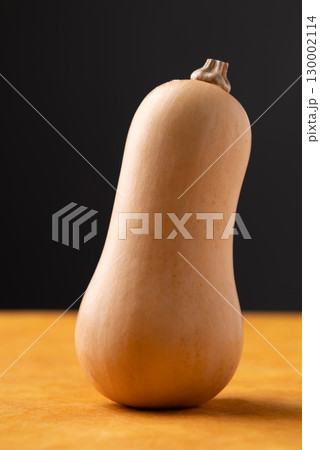 Fresh butternut squash pumpkin on orange and black background, Vegetable in Autumn season Fresh butternut squash pumpkin on orange and black background, Vegetable in Autumn season 130002114