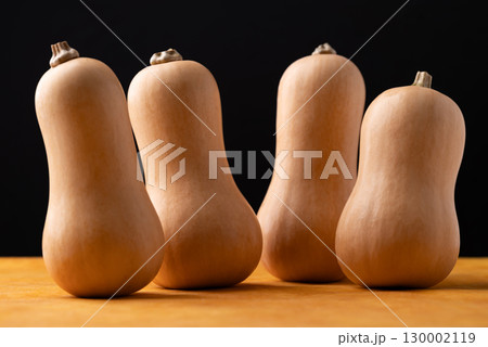 Fresh butternut squash pumpkin on orange and black background, Vegetable in Autumn season 130002119