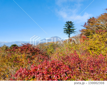 旧碓氷峠見晴台（秋）：浅間山を望む 130002308
