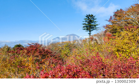 旧碓氷峠見晴台（秋）：浅間山を望む 130002309