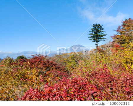 旧碓氷峠見晴台(秋):浅間山を望む 旧碓氷峠見晴台(秋):浅間山を望む 130002312