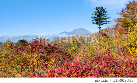 旧碓氷峠見晴台（秋）：浅間山を望む 130002315