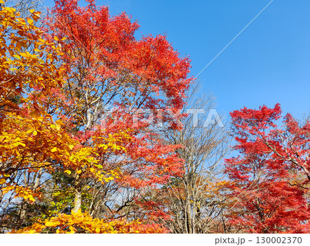旧碓氷峠見晴台の紅葉 旧碓氷峠見晴台の紅葉 130002370