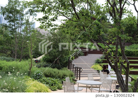 公園の散歩スペース 130002824