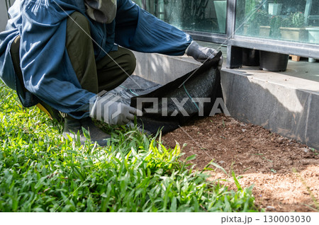 Someone using black plastic sheeting for preventing weed growth by covered soil. It works by blocking sunlight, which is essential for plant growth, and essentially suffocating weeds. 130003030