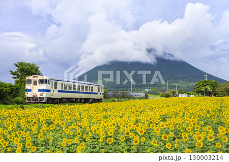 ひまわり咲く西大山駅 130003214
