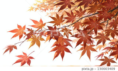 白い背景と紅葉の葉のイラスト 130003409