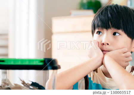 クワガタの観察をする男の子 130003517