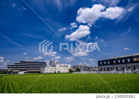 夏空の雲の流れと田園風景 130003861