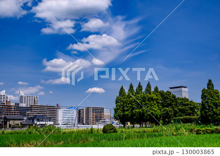 青空と雲が広がる都市風景 130003865
