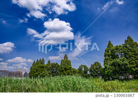 青空と雲が広がる都市風景 青空と雲が広がる都市風景 130003867