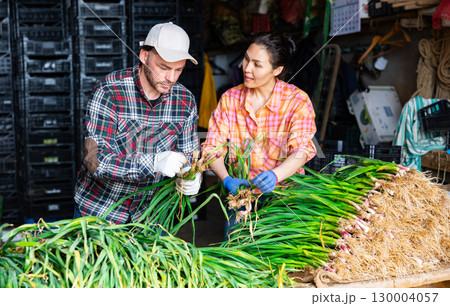 Man and woman talking while processing young garlic in warehouse 130004057