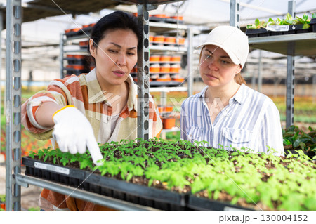 Owner of the greenhouse indicates with her hand to woman where and how to work Owner of the greenhouse indicates with her hand to woman where and how to work 130004152