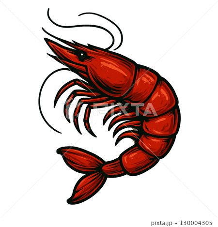 エビのおしゃれイラスト素材 130004305