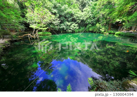 出流原弁天池（栃木県） 130004394