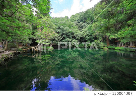 出流原弁天池(栃木県) 出流原弁天池(栃木県) 130004397