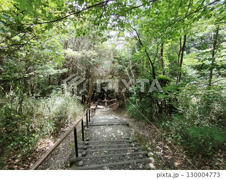 公園 公園 130004773