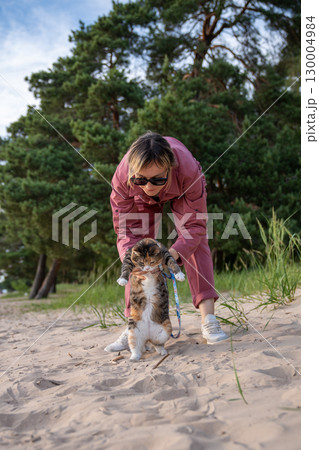 Cat taking first hesitant steps on beach on initial outdoor walk. Woman supports feline on hind legs 130004984
